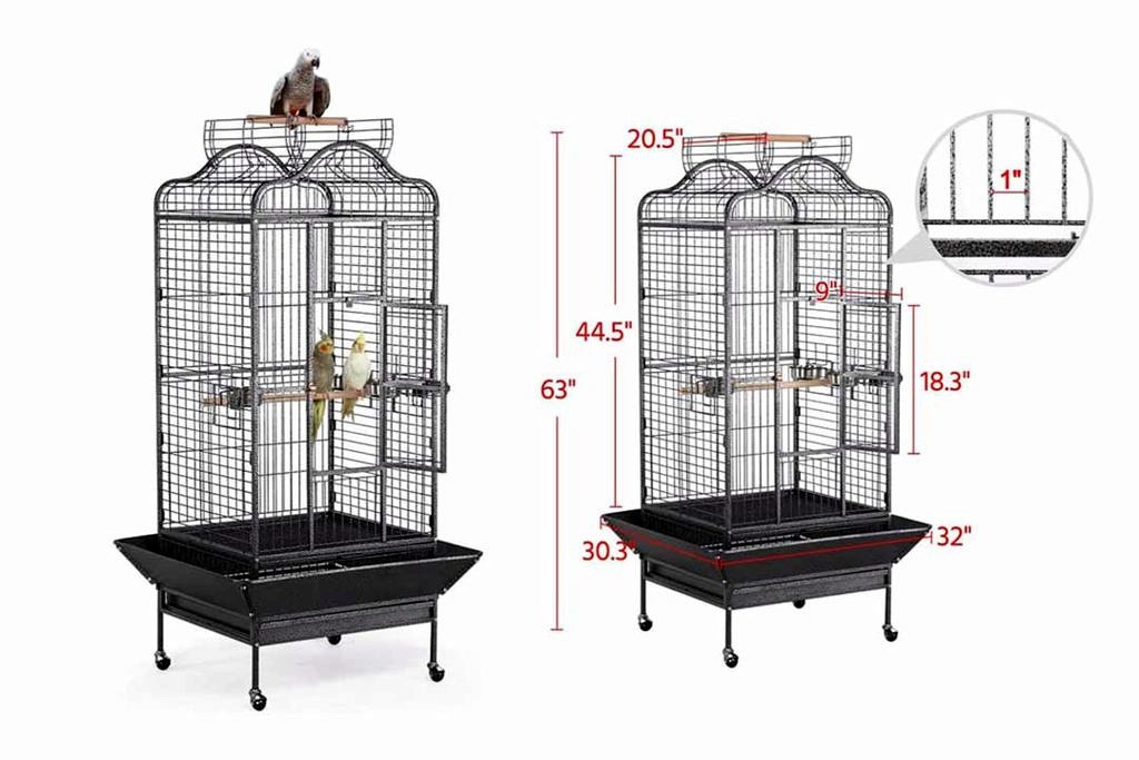 Les 25 Meilleures Cages Pour Perroquets
